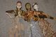 Authentic Old Handcarved & Painted Java Theater Wayang Golek Puppet Doll Gk10,  2 Pacific Islands & Oceania photo 8