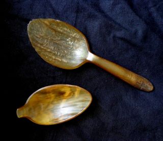 Set Of 2: Antique Hand - Carved Swedish Cow Horn Ladle Spoon And Tea Caddy Scoop photo