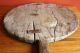 Antique Country Primitive Wooden Dough Board Breadboard 19th Century Old Repairs Primitives photo 4