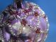 Vtg Purple/lavender Mercury Glass Ornament W/ Seed Bead Embellishment Garden photo 6