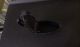 Antique Coal Iron Primitives photo 1