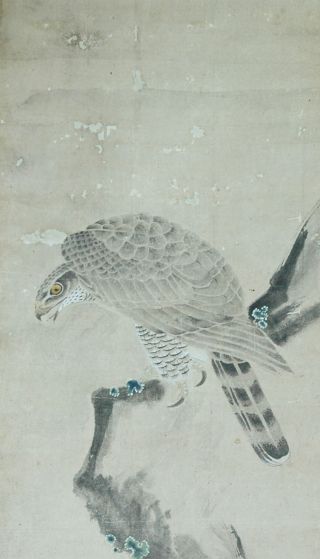 Japanese Hanging Scroll: Hawk And Waterfall @55 photo