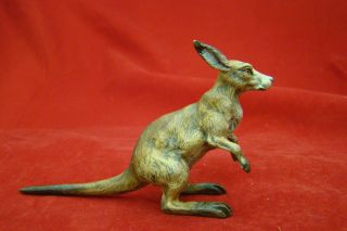 Lovely Antique Austrian/ Vienna Bronze Kangaroo photo