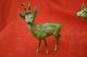Rare Vienna Bronze Set Of Male & Female Deer Excellent Quality 1900s Metalware photo 1