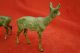 Rare Vienna Bronze Set Of Male & Female Deer Excellent Quality 1900s Metalware photo 4