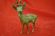 Rare Vienna Bronze Set Of Male & Female Deer Excellent Quality 1900s Metalware photo 6