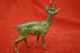 Rare Vienna Bronze Set Of Male & Female Deer Excellent Quality 1900s Metalware photo 7