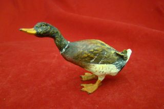 Fantastic Antique Austrian Vienna Mallard Duck photo