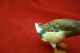 Fantastic Antique Austrian Vienna Mallard Duck Metalware photo 4