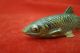 Awesome Antique Vienna/ Austrian Bronze Fish With Very Fine Details Metalware photo 1