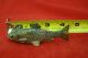 Awesome Antique Vienna/ Austrian Bronze Fish With Very Fine Details Metalware photo 7