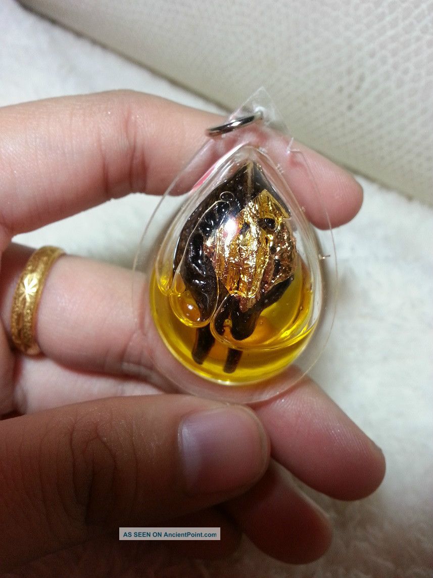 Bigthai Buddha Amulet Black Oil God Of Chestnut Gold Chestnut Silver Amulets photo