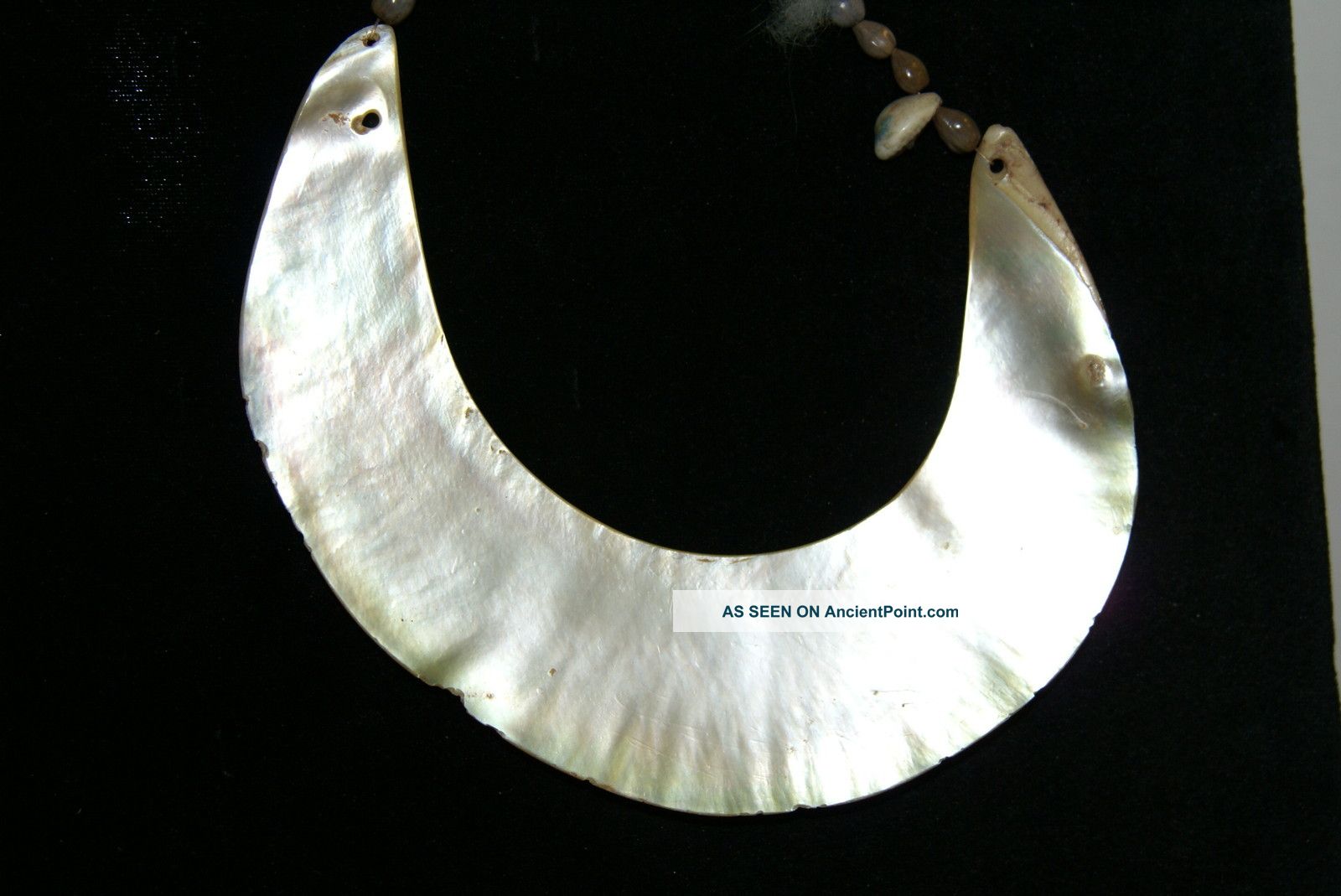 New Guinea Mother Pearl Moka Kina Currency Exchange Valuable Bride Price Item 1 Pacific Islands & Oceania photo