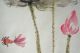Vintage - Ink And Color Painting - Fish & Lotus - China Paintings & Scrolls photo 2
