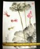 Vintage - Ink And Color Painting - Fish & Lotus - China Paintings & Scrolls photo 7