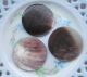 Antique Shell Buttons Vintage Brass Shank Large Art Nouveau Deco Retro Buttons photo 2