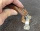 Huge Quack Medical Device Make A Frankenstein Pieces And Parts Quack Medicine photo 6