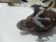Vienna Bronze Cold Painted Partridge Grouse C1900 - Austria Metalware photo 9