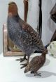 Vienna Bronze Cold Painted Partridge Grouse C1900 - Austria Metalware photo 11
