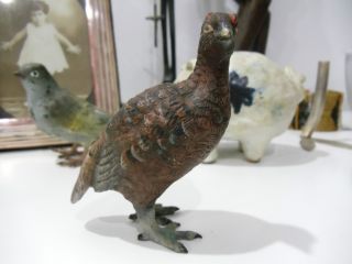Vienna Bronze Cold Painted Partridge Grouse C1900 - Austria photo