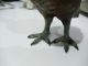 Vienna Bronze Cold Painted Partridge Grouse C1900 - Austria Metalware photo 3