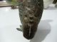Vienna Bronze Cold Painted Partridge Grouse C1900 - Austria Metalware photo 4