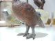 Vienna Bronze Cold Painted Partridge Grouse C1900 - Austria Metalware photo 7