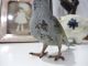 Vienna Bronze Cold Painted Grey Bird C1900 - Austria Metalware photo 2