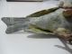 Vienna Bronze Cold Painted Grey Bird C1900 - Austria Metalware photo 6