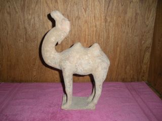 Rare Chinese Antique - Han Dynasty Camel photo