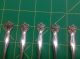 5 Raleigh Sterling Silver Demitasse Spoons By Alvin 4 - 1/4 Inch Spoon Alvin photo 1