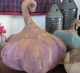 Primitive Fall Halloween Folk Art Grungy Painted Curly Stem Pumpkins Gathering Primitives photo 4