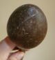 Good African Zulu Throwing Club / Stick Knobkerrie C19th Excellent Antique Rare Other photo 2