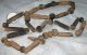 37 Ancient Neolithic Fishing Net Beads Sahara 4000yo Neolithic & Paleolithic photo 3