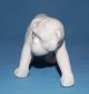 Vintage Czechoslovakia Porcelain Ceramic Pottery Chimpanzee Monkey Figurine Figurines photo 5