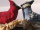 Primitive Folk Art Handcrafted Hand Painted Birds / Blue Jay & Cardinal Primitives photo 2