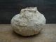 2 Mini Jar & Gigas Clam Seashell Sung/song (960 - 1279) Dynasty Underwater Vase Jars photo 2