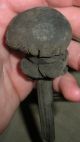 Antique Primitive Folk Art 1700s Stencil Ink Dabber &knot Maker Connecticut Vafo Primitives photo 5