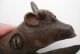 Antique England Cast Iron Cow Box Opener Metalware photo 1