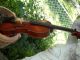 Antique Ludwig Concert Model Stradviarius Violin String photo 7