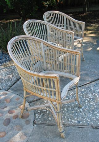 Rattan Chairs,  Set Of 3,  Paris France,  Enamel Plaque,  Antique Modern photo