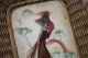 Antique Wicker Basket Bird Feathers Under Glass Victorian Rare Shape Cardinal Victorian photo 1