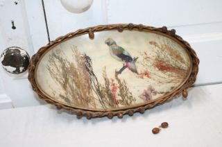 Antique Wicker Tray Bird Feathers Dried Flowers Under Glass Oval Stick & Ball photo