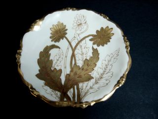 Antique Victorian Elite Works Bawo Dotter Limoges Gold Gild Floral Display Plate photo