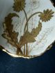 Antique Victorian Elite Works Bawo Dotter Limoges Gold Gild Floral Display Plate Victorian photo 1
