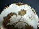 Antique Victorian Elite Works Bawo Dotter Limoges Gold Gild Floral Display Plate Victorian photo 8