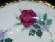 Excellent Paragon Bone China Raised Embossed Design Cup And Saucer Set Cups & Saucers photo 5