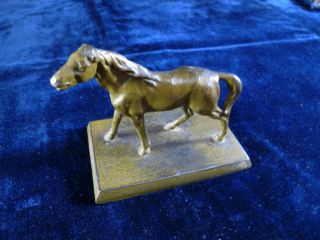 Turn - Of - The - Century Bronze Horse photo