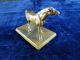 Turn - Of - The - Century Bronze Horse Metalware photo 3