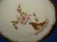 Antique Limoges Porcelain Plate B & T Hand Painted Gold Florals France 1900s Victorian photo 1